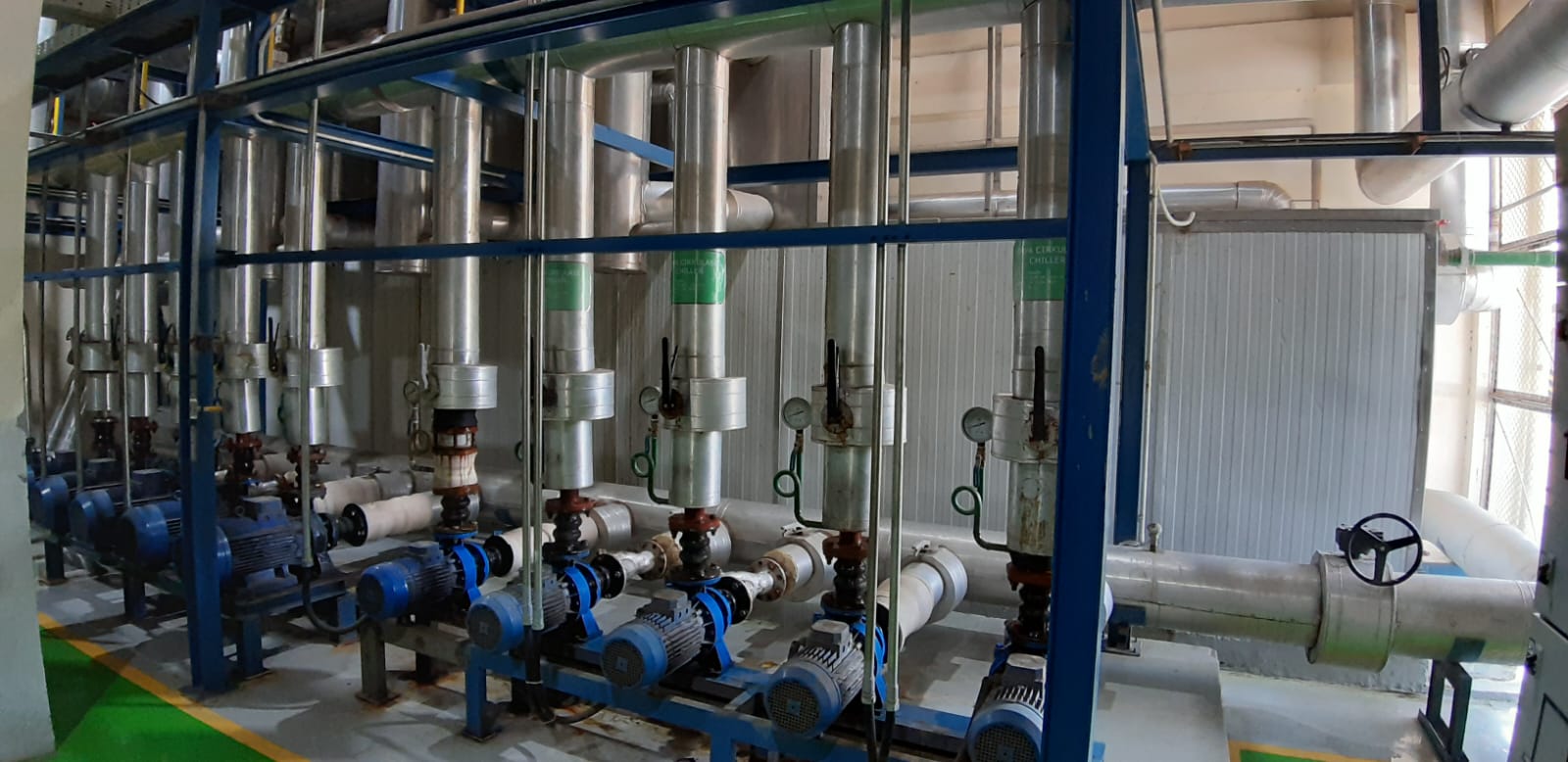 Bottled beverages moving along a conveyor line
