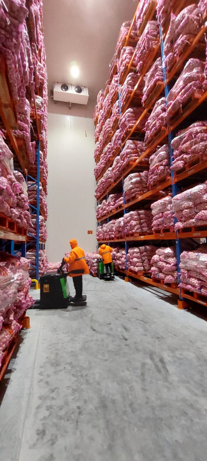 Workers operating a tunnel freezer line