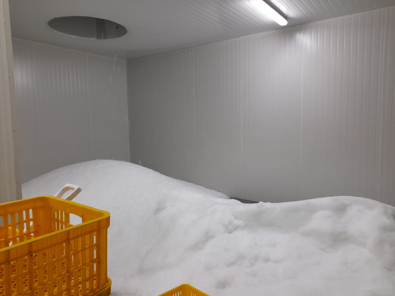 AJM engineers preparing a blast-freezer plant room